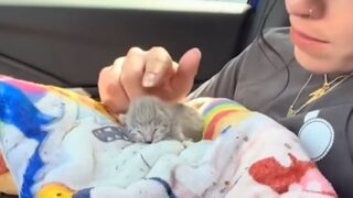 配達員　子猫