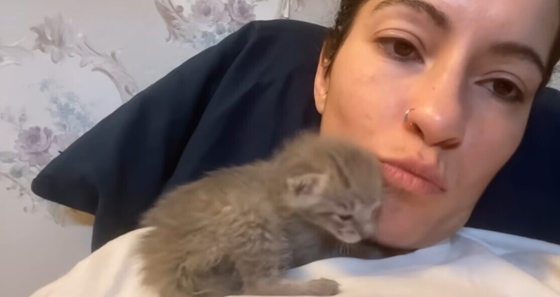 配達員 子猫
