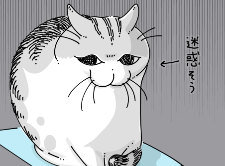 ねこナビ