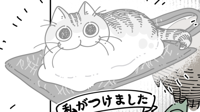 ねこナビ