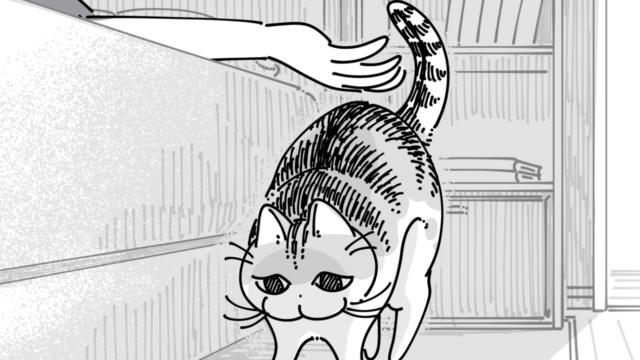 ♡ねこ初心者♡ ねこナビ