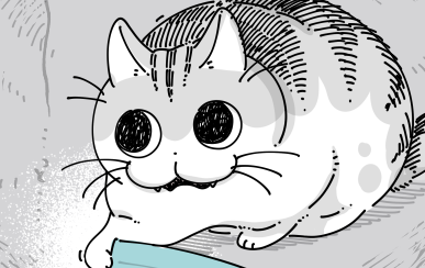 ねこナビ