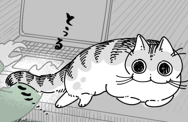 ねこナビ