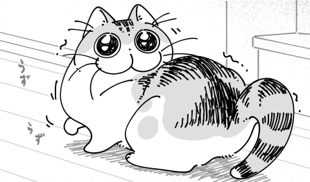 ♡ねこ初心者♡ ねこナビ